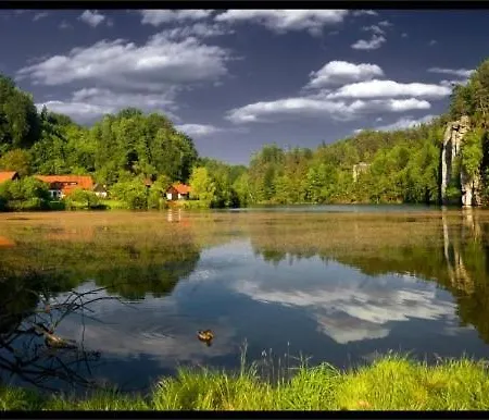 Гостевой дом Vysinka 719